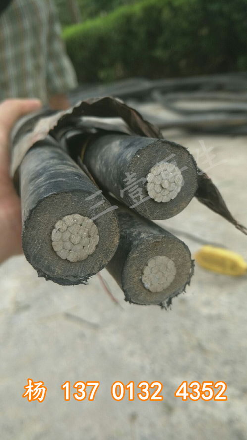 2021年沙洋船用電纜回收 集團(tuán)在線報(bào)價(jià)服務(wù)全面啟動(dòng)